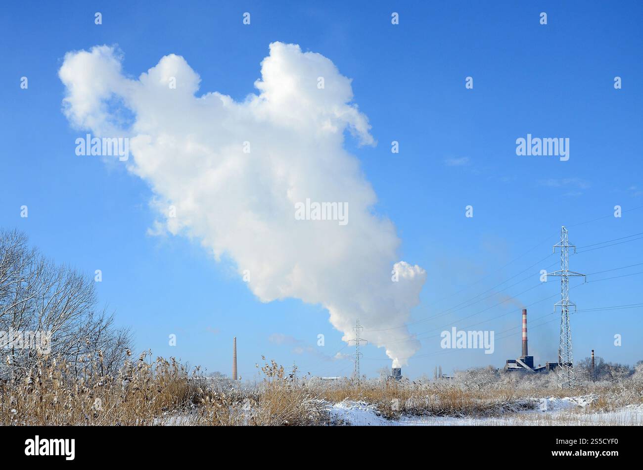 Lo stabilimento industriale si trova dietro il terreno paludoso, coperto di neve. Grande campo di proiettili gialli Foto Stock