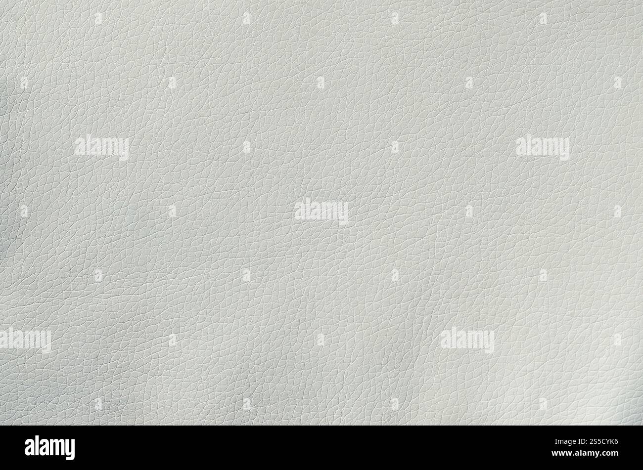 In pelle bianca di sfondo di texture. Il materiale grezzo costituito da pelle di animale per mobili Foto Stock