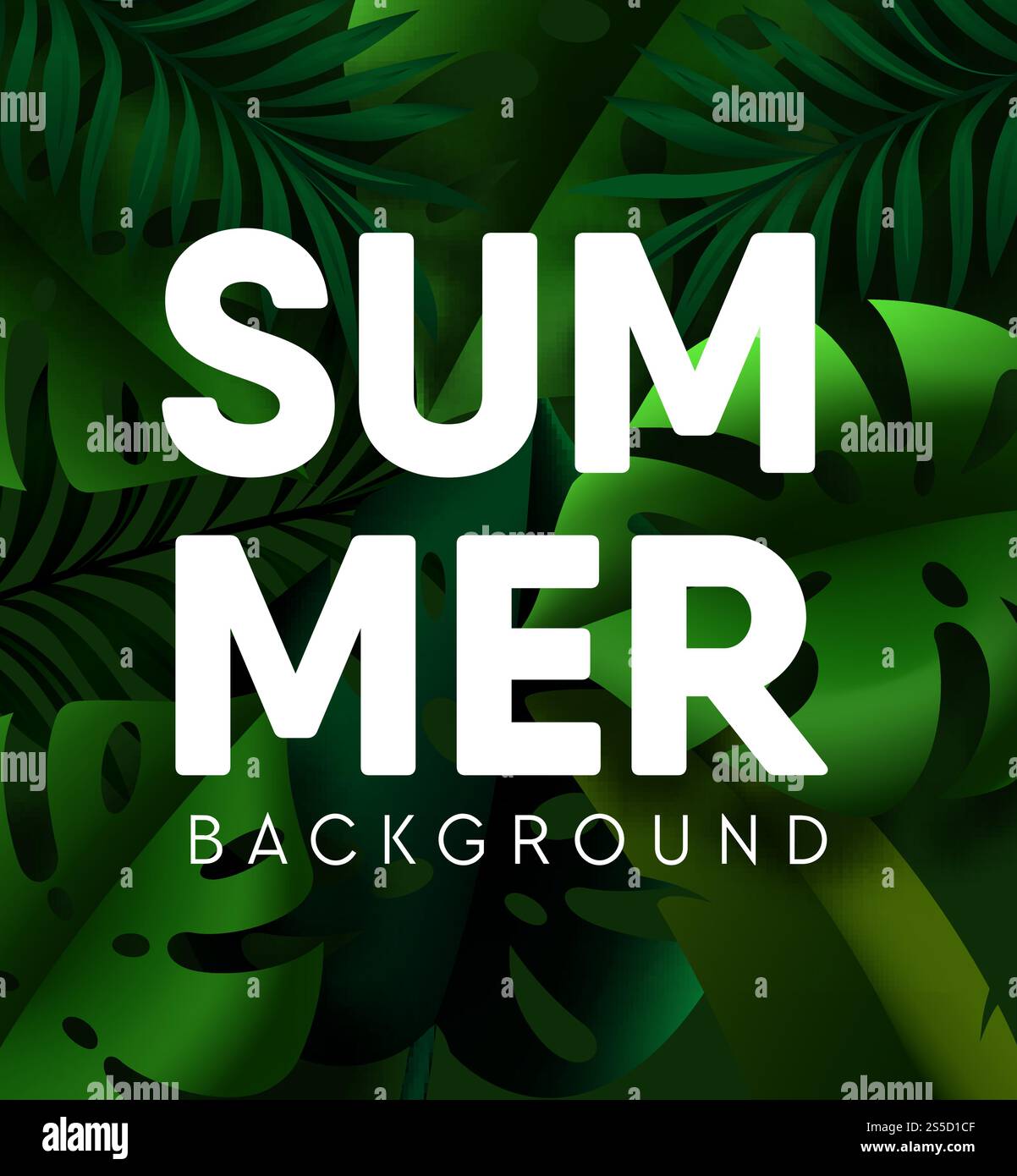 Sfondo estivo con foglie di palma tropicali. Piante tropiche esotiche di colore verde vettoriale con motivo a foglia tropicale paradisiaca. Sfondo estivo con foglie di palma tropicali Illustrazione Vettoriale