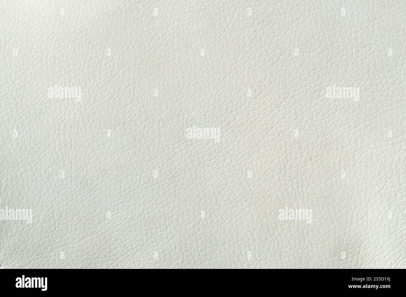 In pelle bianca di sfondo di texture. Il materiale grezzo costituito da pelle di animale per mobili Foto Stock