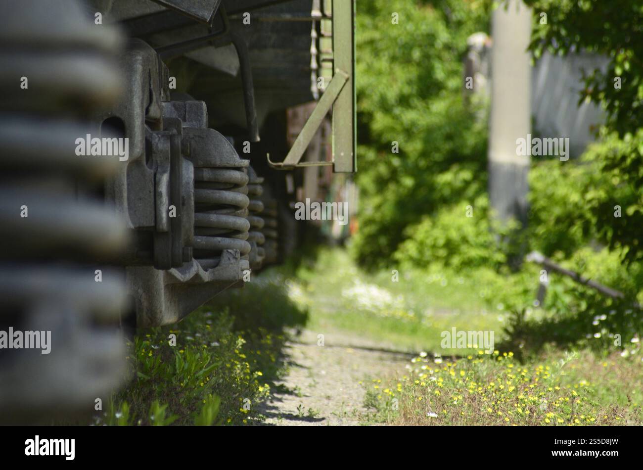 Paesaggio con un treno merci. Carrozza ferroviaria nella stagione primaverile. Paesaggio con dettagli del vecchio treno merci grunge Foto Stock