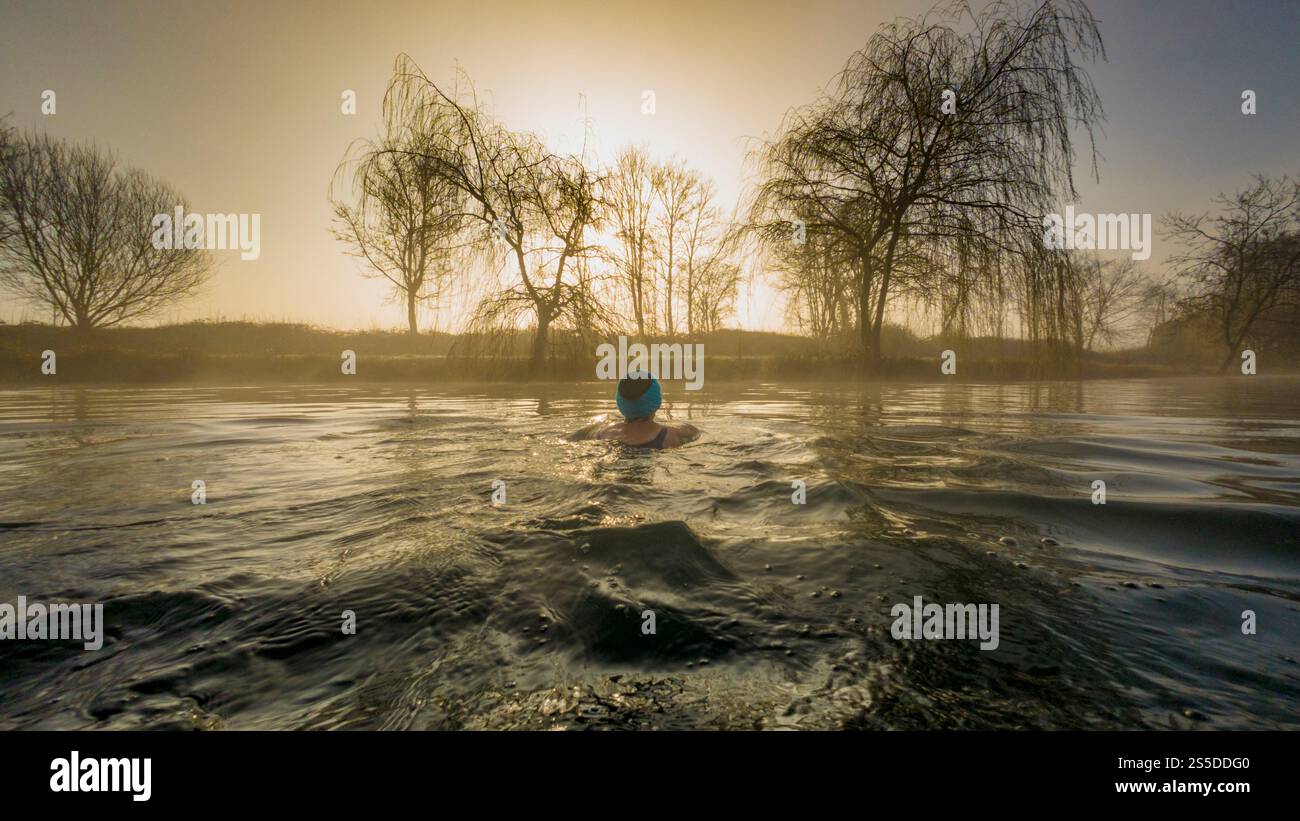 Immagine suggestiva di una femmina solitaria che nuota in lontananza in una nebbiosa mattina invernale all'alba. York Foto Stock