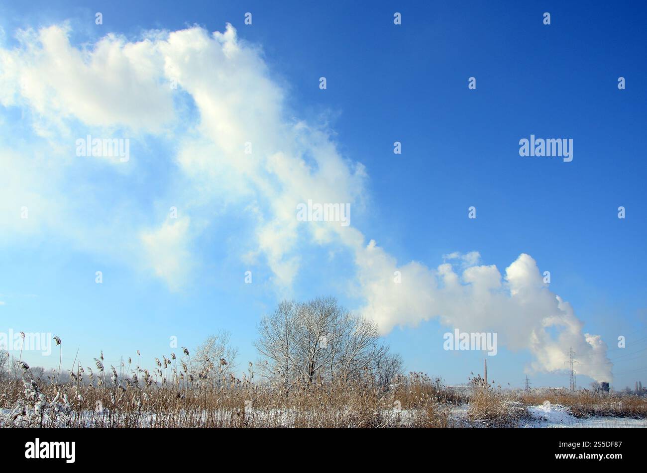 Lo stabilimento industriale si trova dietro il terreno paludoso, coperto di neve. Grande campo di proiettili gialli Foto Stock