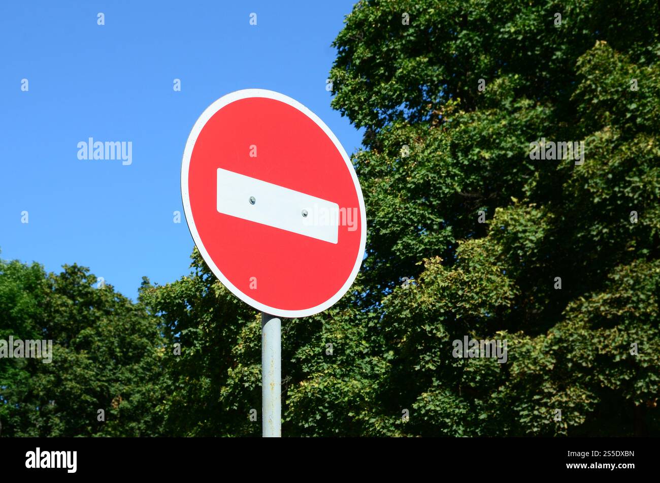 Una circolare segno rosso con una barra bianca che indica nessuna voce su un metallo grigio post contro un alberi verdi e blu cielo chiaro Foto Stock