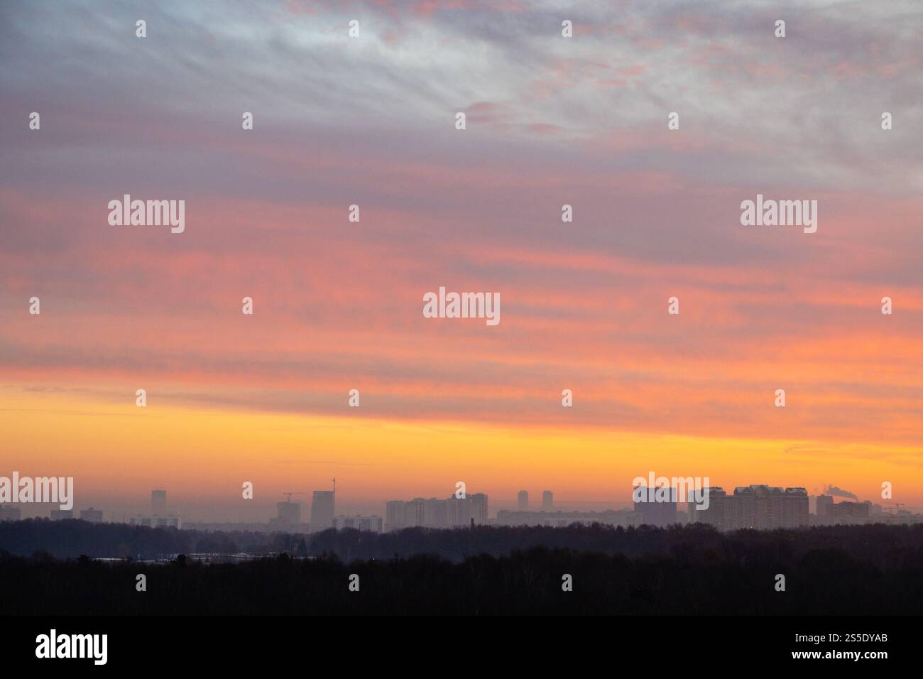cielo colorato alba sopra il parco della città all'alba fredda in inverno mattina Foto Stock