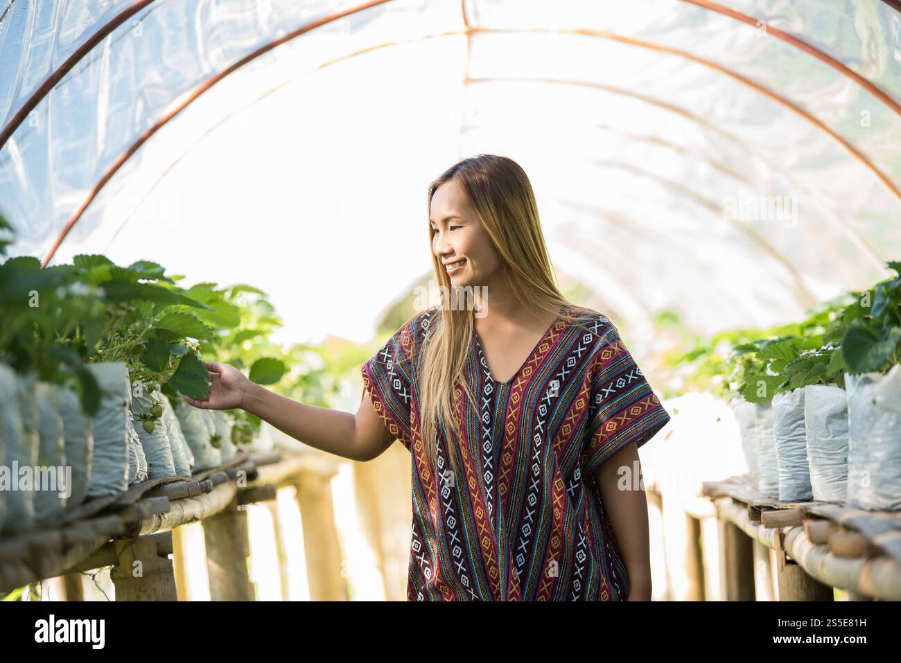Bella donna contadina che controlla la fattoria di fragole Foto Stock