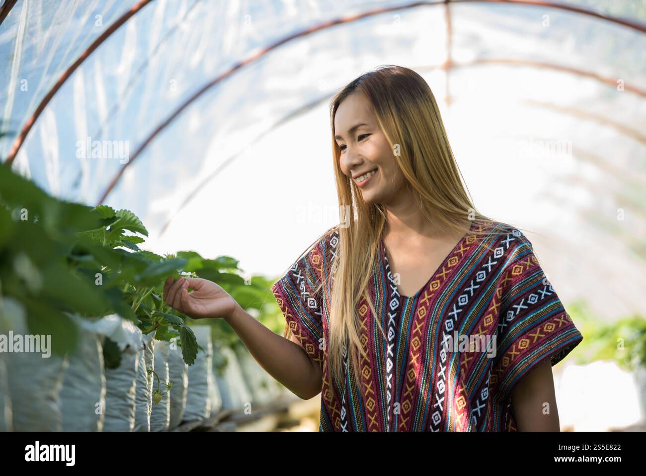 Bella donna contadina che controlla la fattoria di fragole Foto Stock