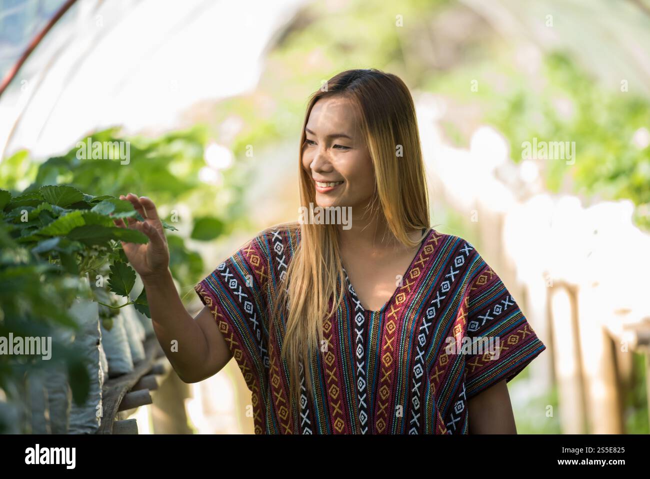 Bella donna contadina che controlla la fattoria di fragole Foto Stock