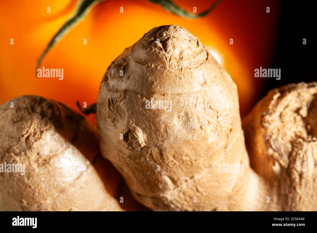 dettaglio macro radice di zenzero Foto Stock