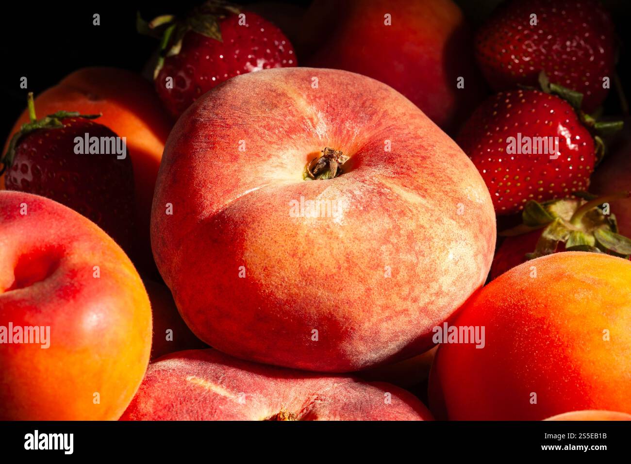pesca piatta su sfondo nero Foto Stock