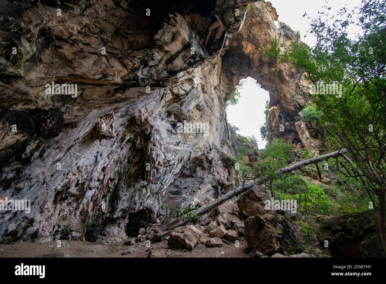 La foresta naturale di Thao Kosa e il parco delle grotte di Khao Kalok vicino alla città di Hua Hin nella provincia di Prachuap Khiri Khan in Thailandia, Thailandia, Hua Foto Stock