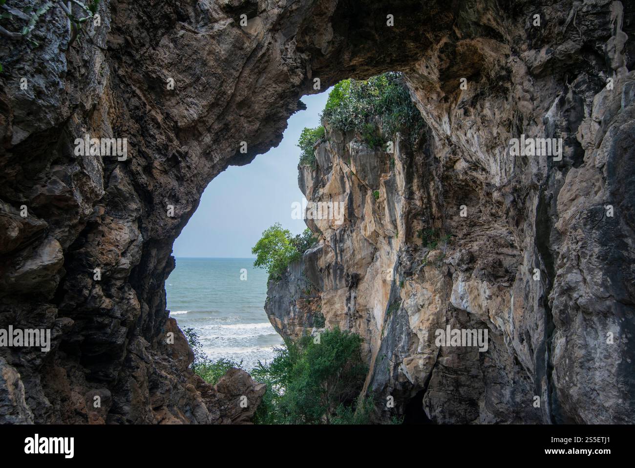La foresta naturale di Thao Kosa e il parco delle grotte di Khao Kalok vicino alla città di Hua Hin nella provincia di Prachuap Khiri Khan in Thailandia, Thailandia, Hua Foto Stock