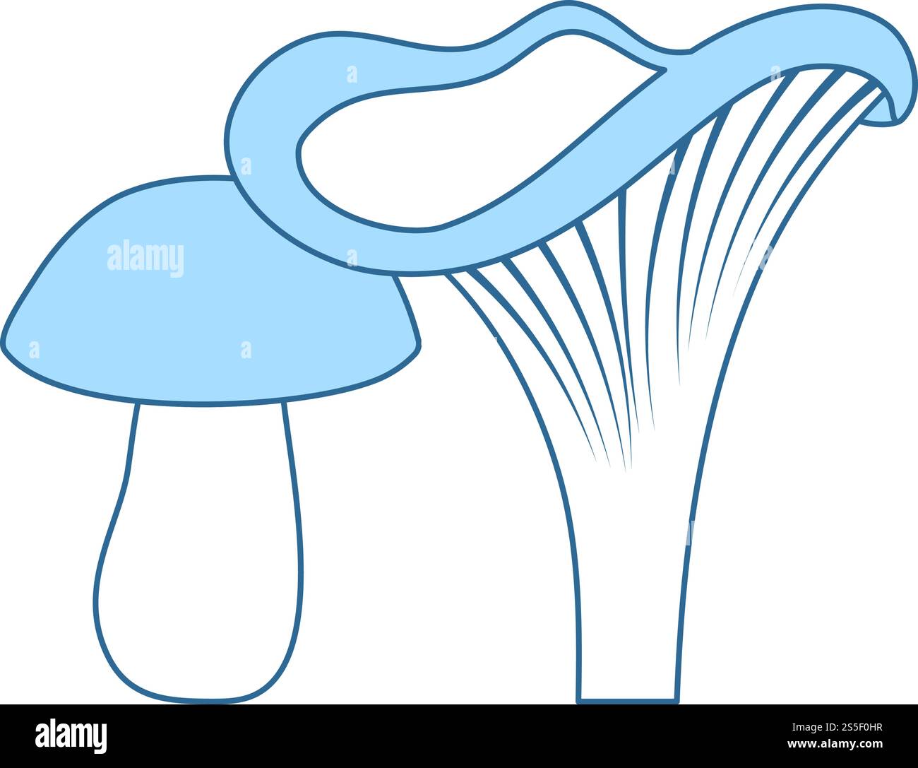 Icona del fungo. Linea sottile con riempimento blu Design. Illustrazione Vettoriale. Illustrazione Vettoriale