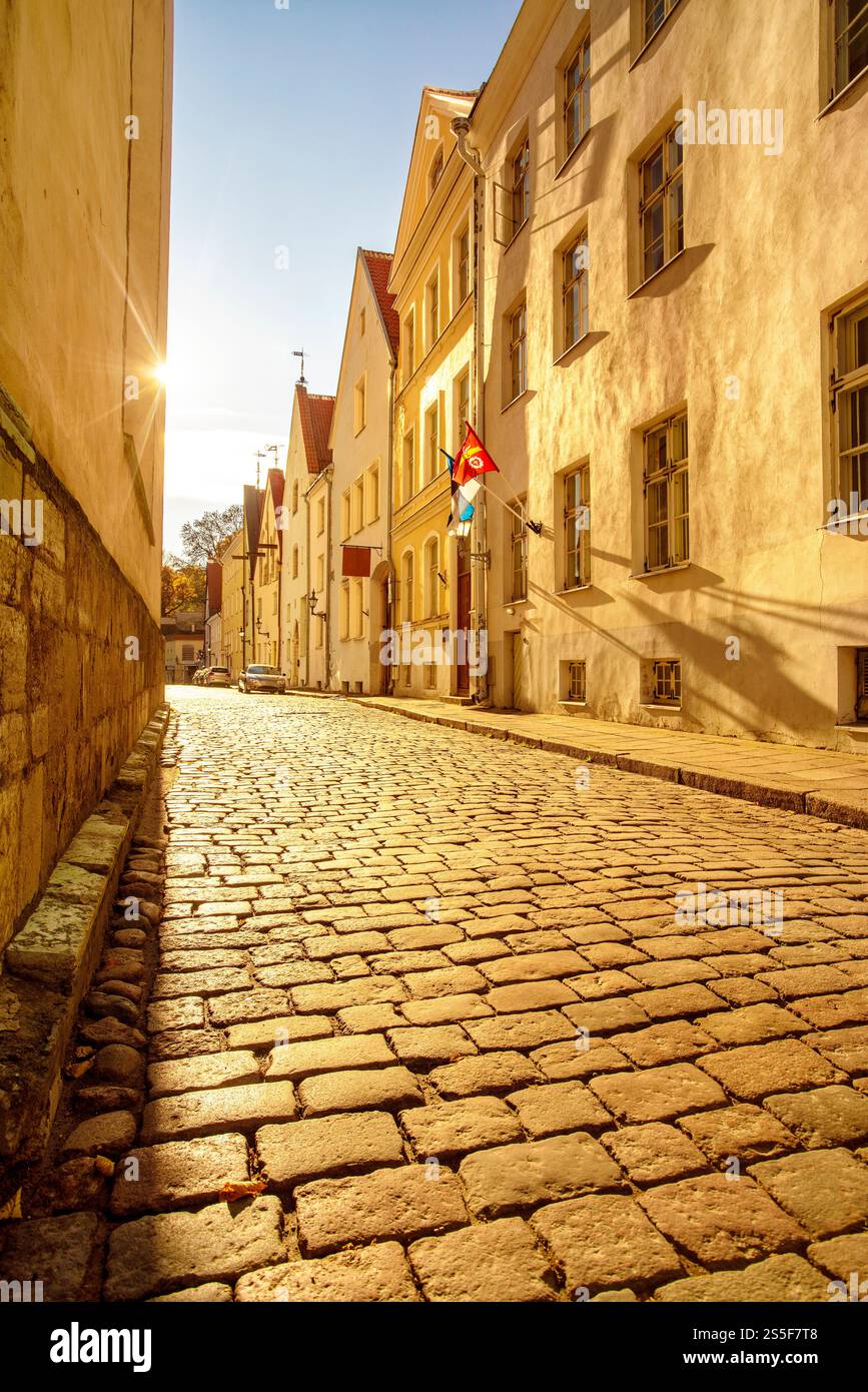 Strada acciottolata nella città vecchia di Tallinn con la storica architettura europea e la luce del sole che getta ombre sugli edifici, l'Estonia Foto Stock