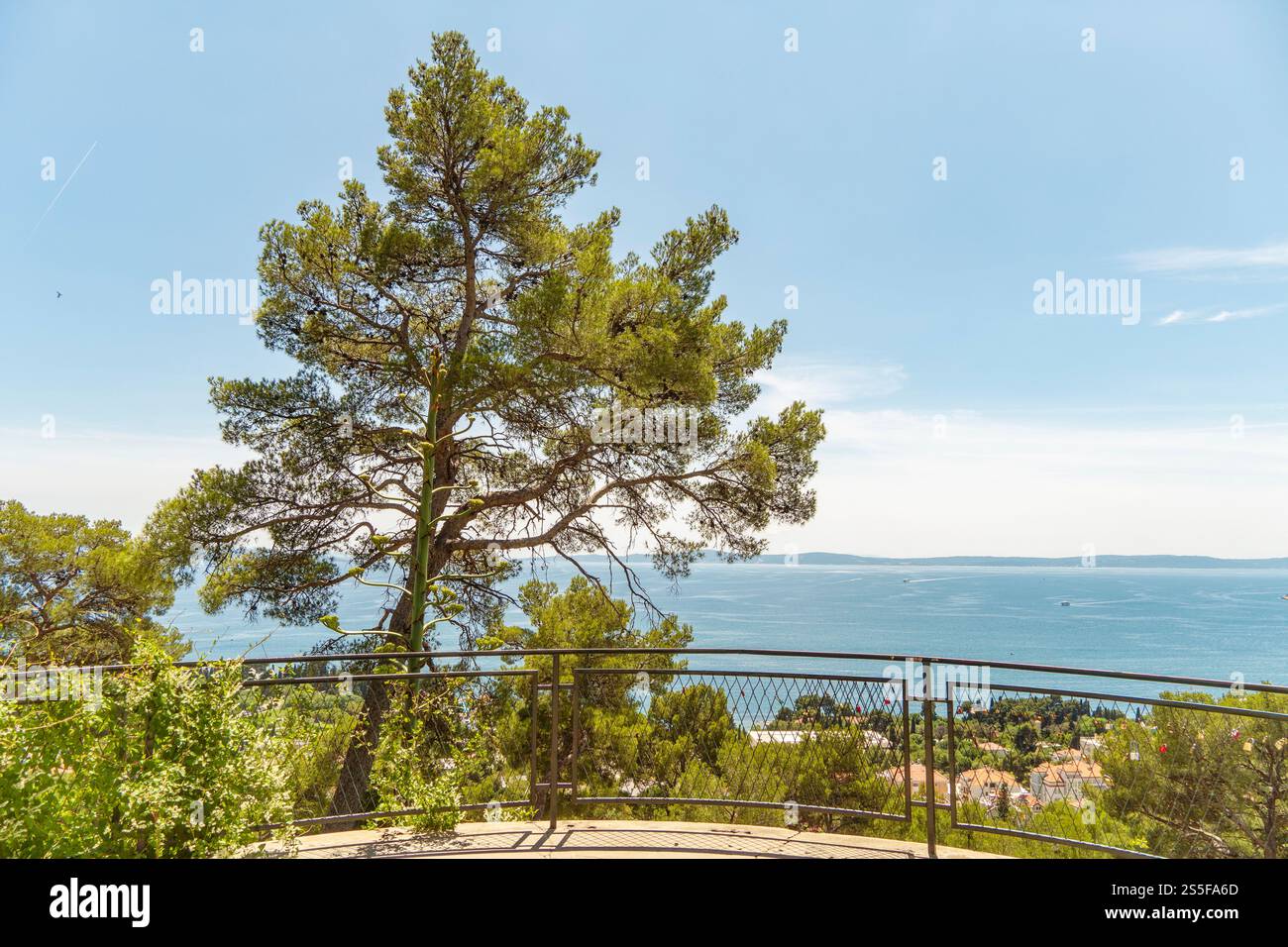 Vista panoramica da un punto panoramico in cima a una collina caratterizzato da un grande pino che si affaccia su una baia panoramica con cieli limpidi, Spalato, Croazia Foto Stock