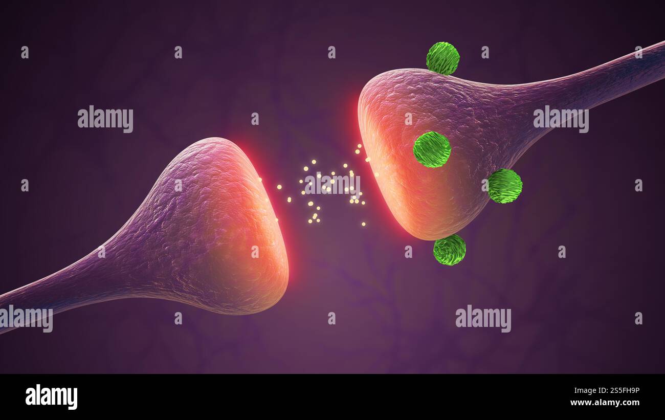 Farmaci che attivano l'attività del recettore cerebrale sinaptico Foto Stock