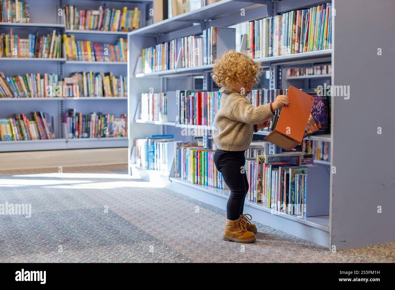 Un bambino con i capelli ricci che indossa un maglione e stivali sta selezionando un libro da uno scaffale in una biblioteca. Cleveland, Ohio, Stati Uniti Foto Stock