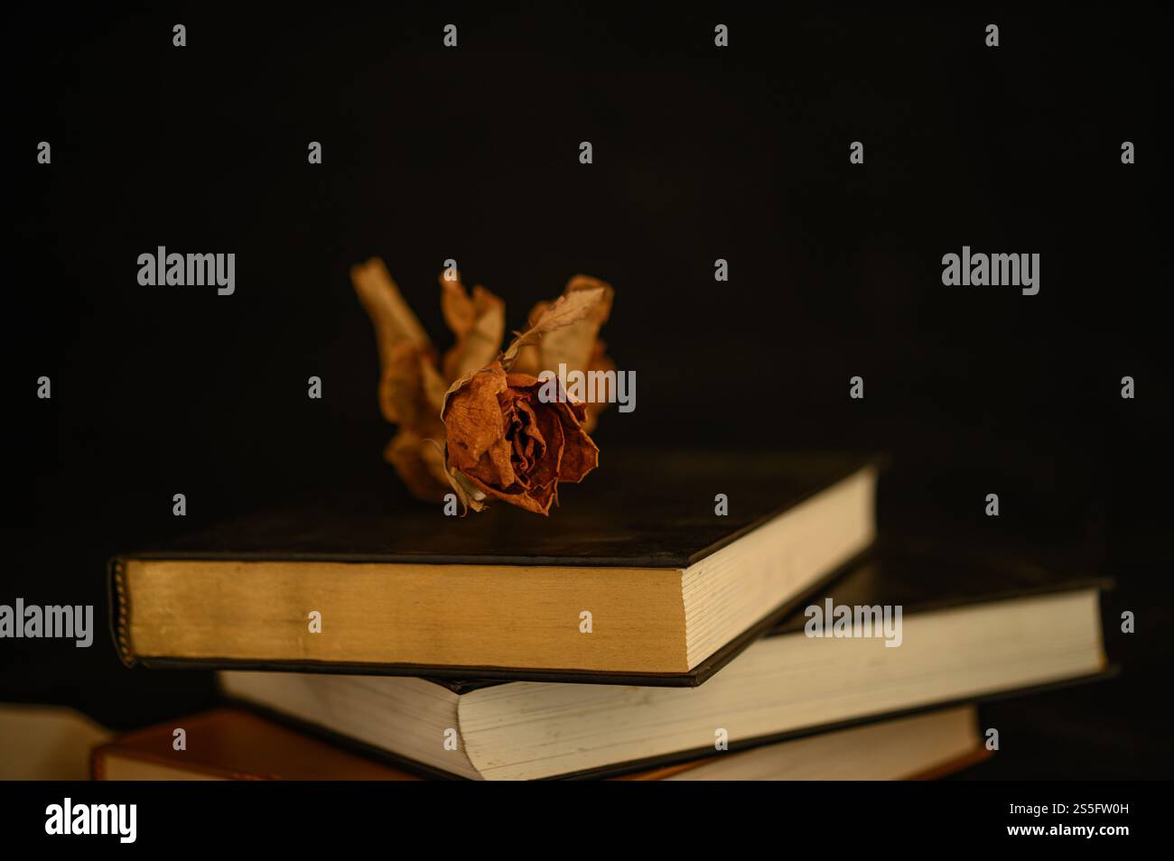 Natura morta con libri a forma di cuore e fiori secchi. Foto Stock Natura morta con libri a forma di cuore e fiori secchi. Foto Stock