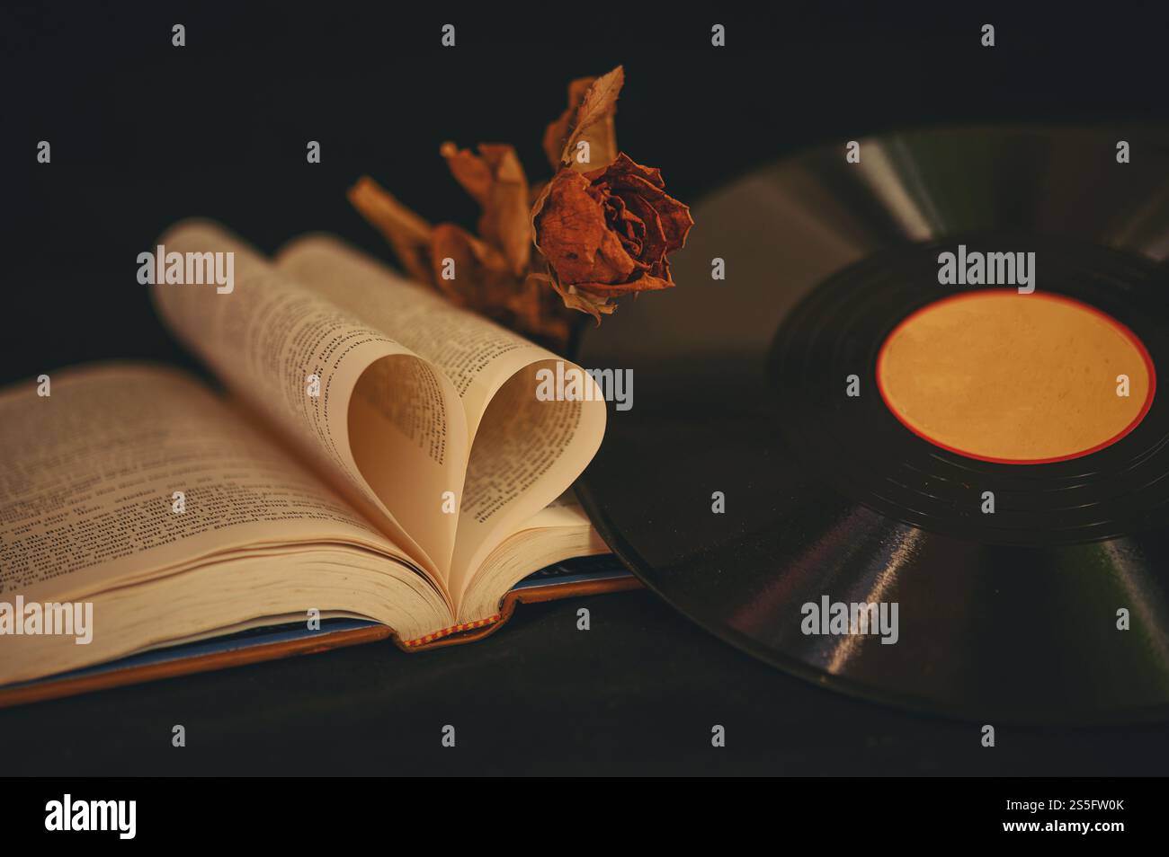 Natura morta con libri a forma di cuore, fiori secchi e vecchi CD. Foto Stock Natura morta con libri a forma di cuore, fiori secchi e vecchi CD. Foto Stock