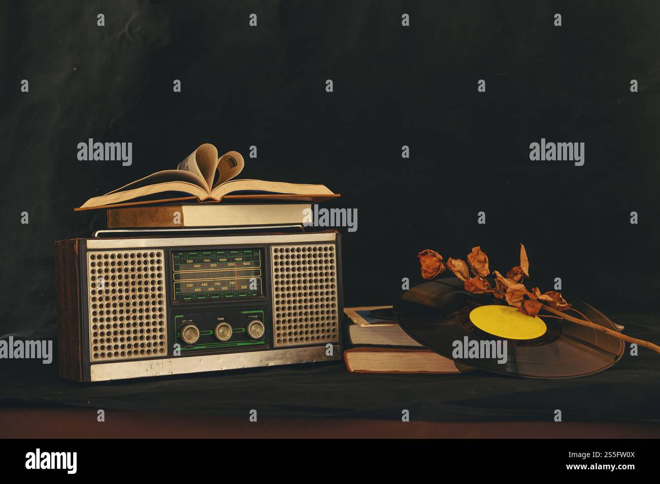 Libri a forma di cuore collocati su ricevitori radiofonici retrò con fiori secchi e vecchi CD. Foto Stock Libri a forma di cuore collocati su ricevitori radiofonici retrò con fiori secchi e vecchi CD. Foto Stock