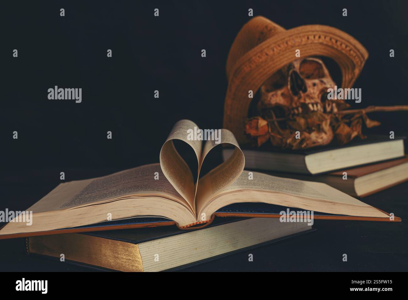 Natura morta con un libro a forma di cuore e un teschio in bocca con fiori secchi. Foto Stock Natura morta con un libro a forma di cuore e un teschio in bocca con fiori secchi. Foto Stock