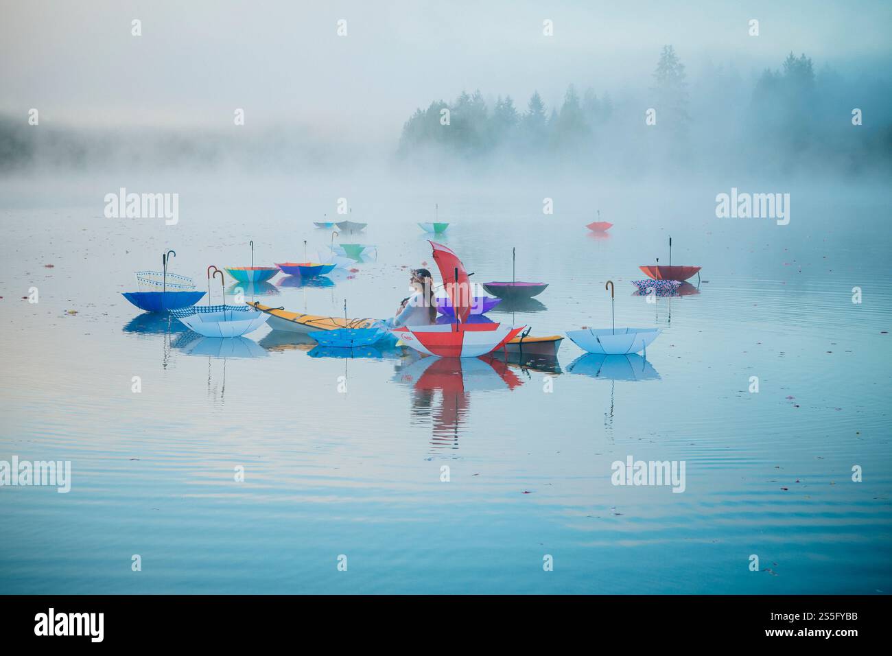 Un lago tranquillo con ombrelli aperti colorati che galleggiano sull'acqua, circondato da nebbia nebbiosa e da uno sfondo forestale, che crea un'atmosfera stravagante e tranquilla, Wildcat Lake, Washington, USA Foto Stock