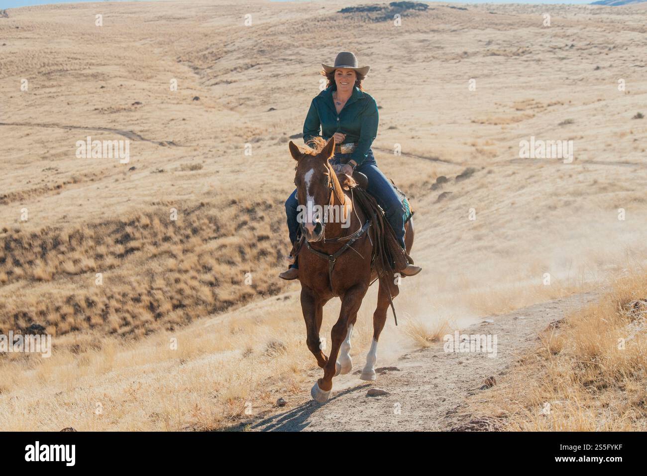 Una donna che indossa un cappello da cowboy e una maglietta verde cavalca un cavallo di castagno su un sentiero polveroso attraverso un vasto paesaggio asciutto sotto un cielo limpido, Idaho, Stati Uniti Foto Stock