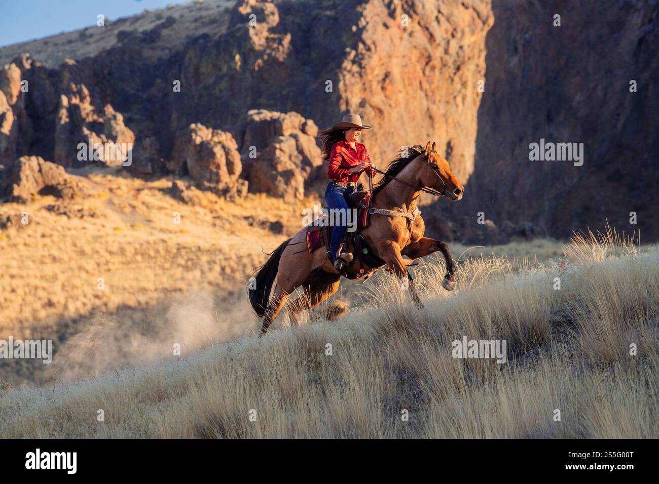 Una cowgirl con una camicia rossa e un cappello da cowboy cavalca un cavallo al galoppo su una collina erbosa con aspre scogliere sullo sfondo, Idaho, Stati Uniti Foto Stock