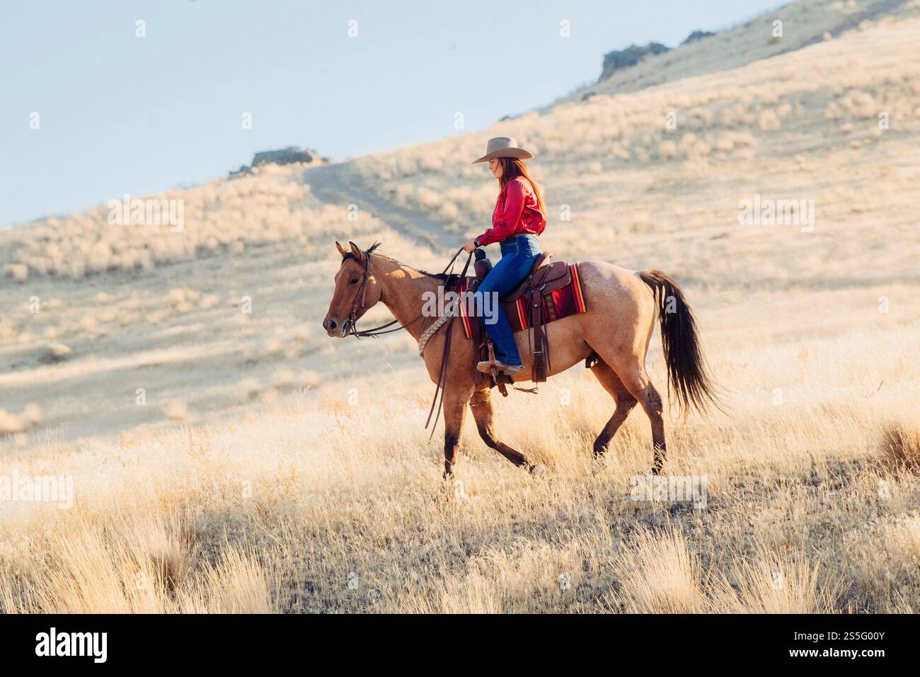 Una donna con una camicia rossa e un cappello da cowboy cavalca un cavallo abbronzato su una collina ondulata e illuminata dal sole, coperta da erba alta e secca, creando una scena serena e rustica, Idaho, Stati Uniti Foto Stock
