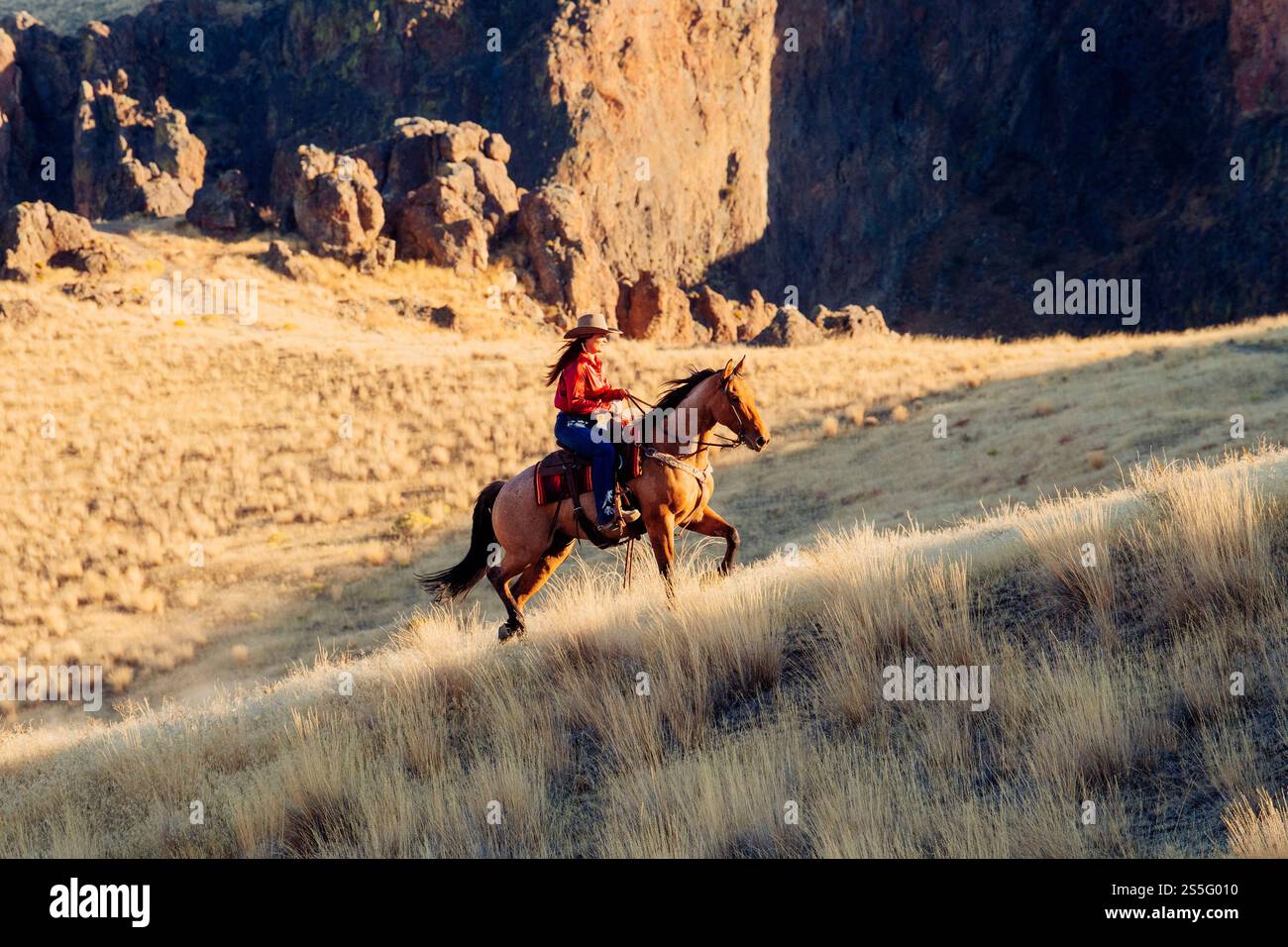 Una donna con una camicia rossa e un cappello da cowboy cavalca un cavallo marrone su una collina erbosa illuminata dal sole con scogliere rocciose sullo sfondo, Idaho, Stati Uniti Foto Stock