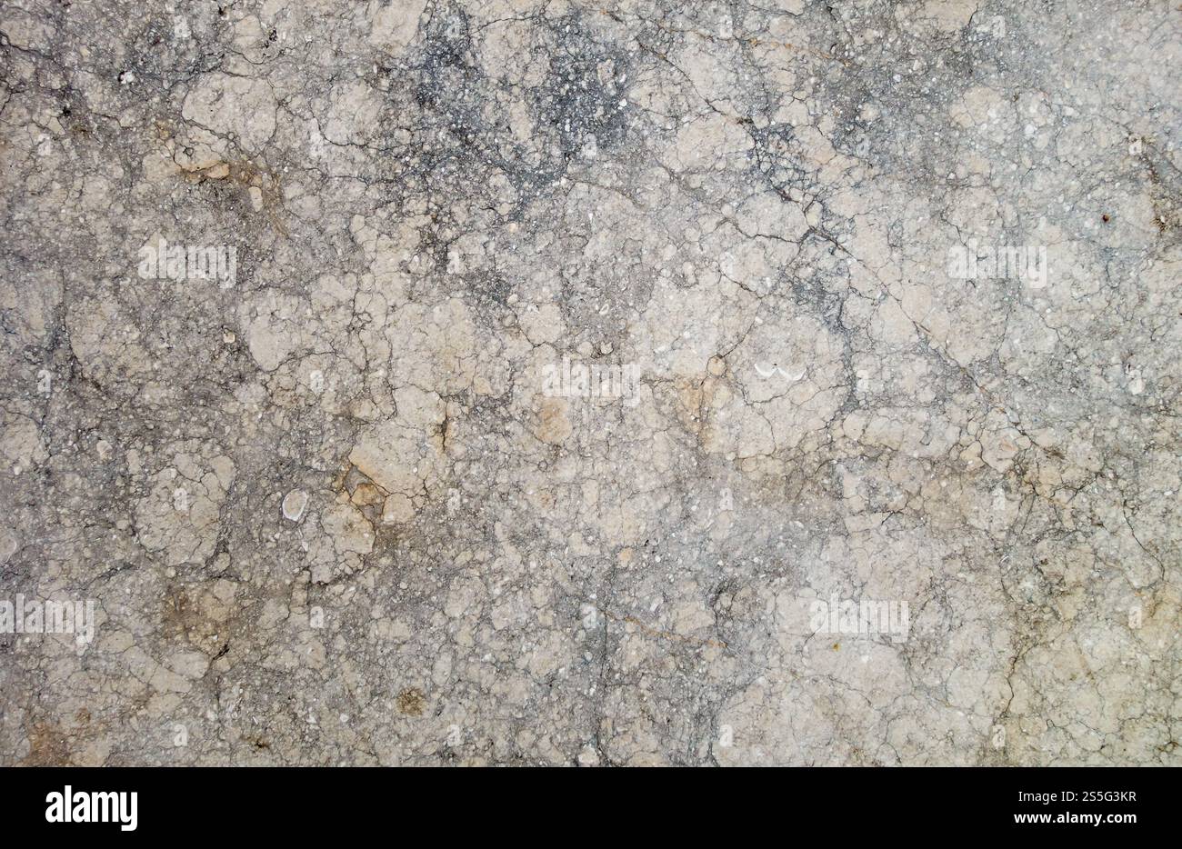 Struttura di fondo in marmo e pietra. sfondo astratto bianco. Texture di fondo in marmo Foto Stock