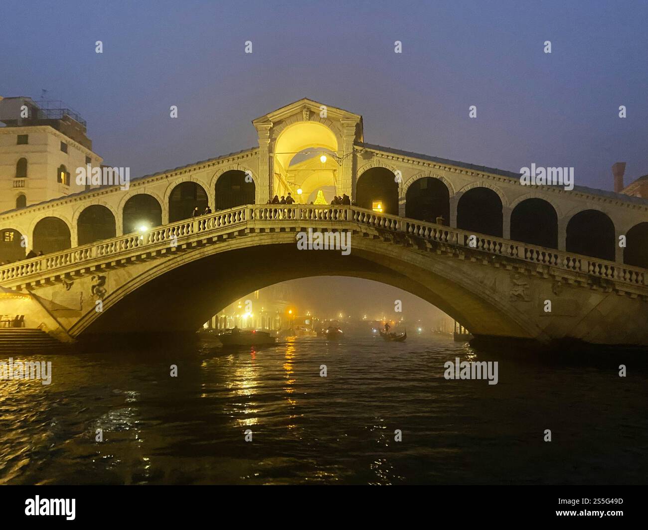 Vista del Ponte di Rialto illuminato sul Canal Grande di notte nebbia invernale nella città di Venezia Foto Stock