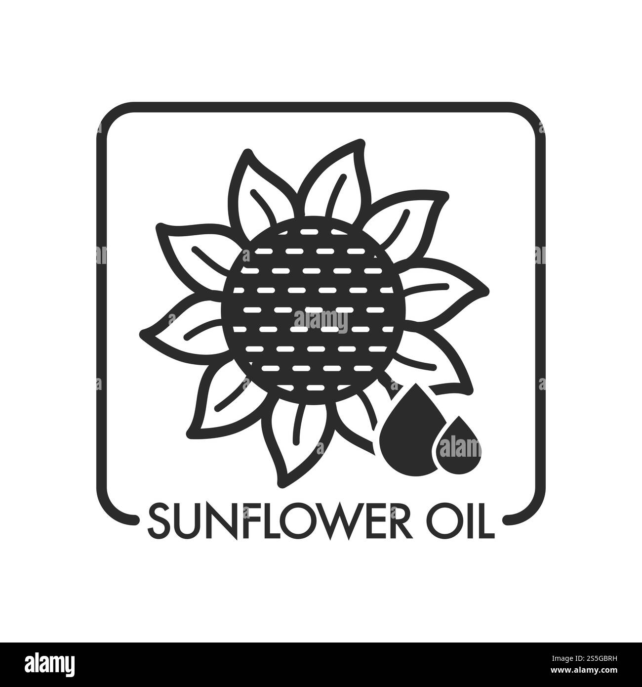 Gocce di olio di girasole e pianta, elianto, fiore, semi, foglie in una cornice, illustrazione grafica del vettore piatto con testo su sfondo bianco. Gocce di olio di girasole e grafica vegetale con testo Illustrazione Vettoriale