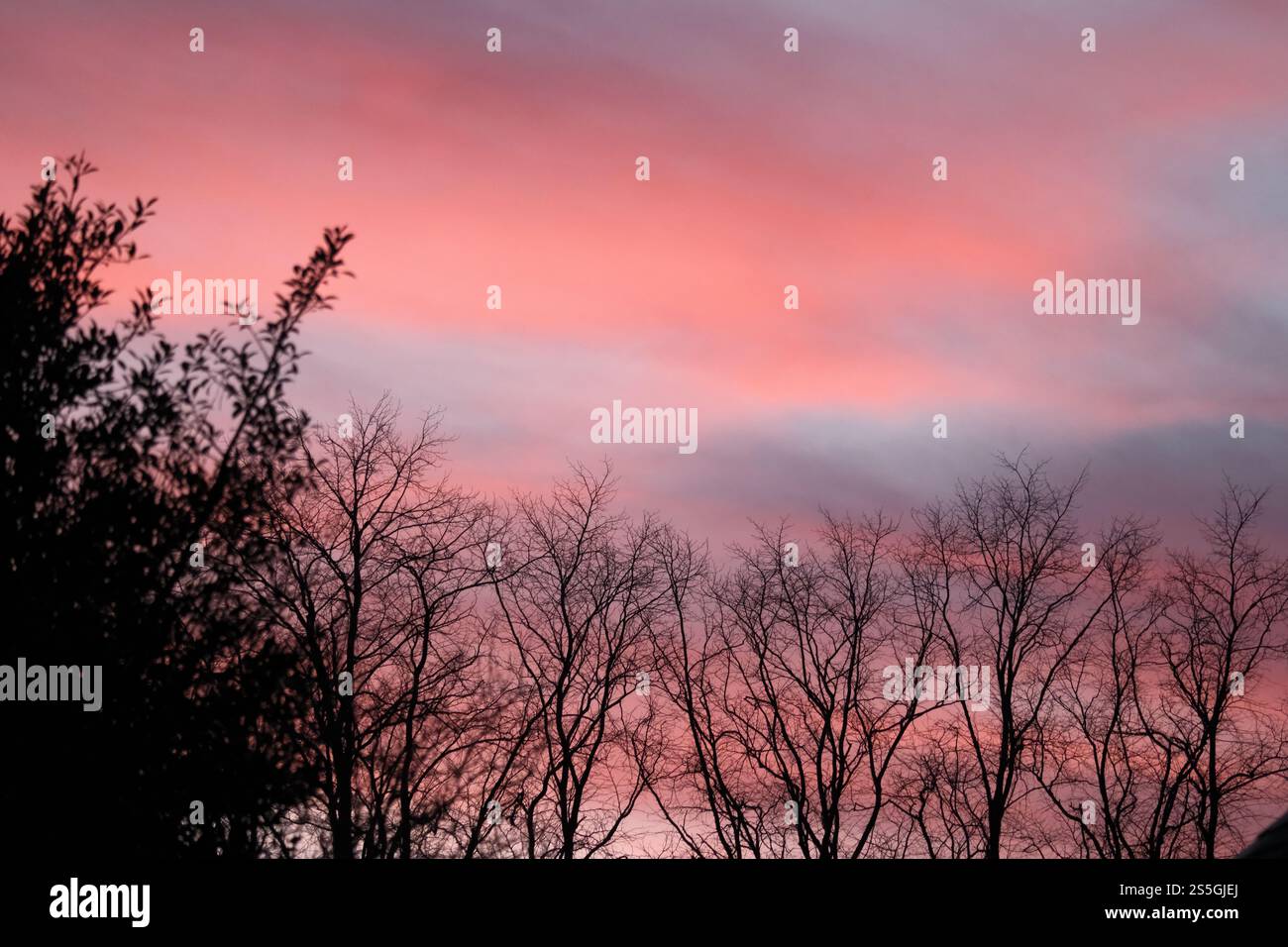Selkirk, Regno Unito. 14 gennaio 2025. Meteo nel Regno Unito, cieli rossi su Selkirk nei confini scozzesi, martedì 14 gennaio 2025, dopo una giornata di inverni miti con cieli limpidi, il cielo diventa rosso quando il sole tramonta. Quando la polvere e le piccole particelle rimangono intrappolate nell'atmosfera a causa dell'alta pressione, appare un cielo rosso. Questo diffonde luce blu lasciando solo luce rossa per dare al cielo il suo aspetto notevole. Un cielo rosso al tramonto significa che l'alta pressione si sta muovendo da ovest, quindi il giorno successivo sarà di solito asciutto e piacevole. ( Crediti: Rob Gray/Alamy Live News Foto Stock