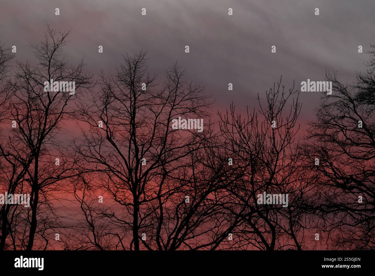 Selkirk, Regno Unito. 14 gennaio 2025. Meteo nel Regno Unito, cieli rossi su Selkirk nei confini scozzesi, martedì 14 gennaio 2025, dopo una giornata di inverni miti con cieli limpidi, il cielo diventa rosso quando il sole tramonta. Quando la polvere e le piccole particelle rimangono intrappolate nell'atmosfera a causa dell'alta pressione, appare un cielo rosso. Questo diffonde luce blu lasciando solo luce rossa per dare al cielo il suo aspetto notevole. Un cielo rosso al tramonto significa che l'alta pressione si sta muovendo da ovest, quindi il giorno successivo sarà di solito asciutto e piacevole. ( Crediti: Rob Gray/Alamy Live News Foto Stock