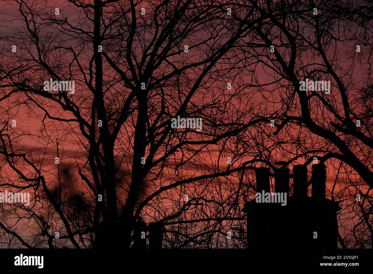 Selkirk, Regno Unito. 14 gennaio 2025. Meteo nel Regno Unito, cieli rossi su Selkirk nei confini scozzesi, martedì 14 gennaio 2025, dopo una giornata di inverni miti con cieli limpidi, il cielo diventa rosso quando il sole tramonta. Quando la polvere e le piccole particelle rimangono intrappolate nell'atmosfera a causa dell'alta pressione, appare un cielo rosso. Questo diffonde luce blu lasciando solo luce rossa per dare al cielo il suo aspetto notevole. Un cielo rosso al tramonto significa che l'alta pressione si sta muovendo da ovest, quindi il giorno successivo sarà di solito asciutto e piacevole. ( Crediti: Rob Gray/Alamy Live News Foto Stock