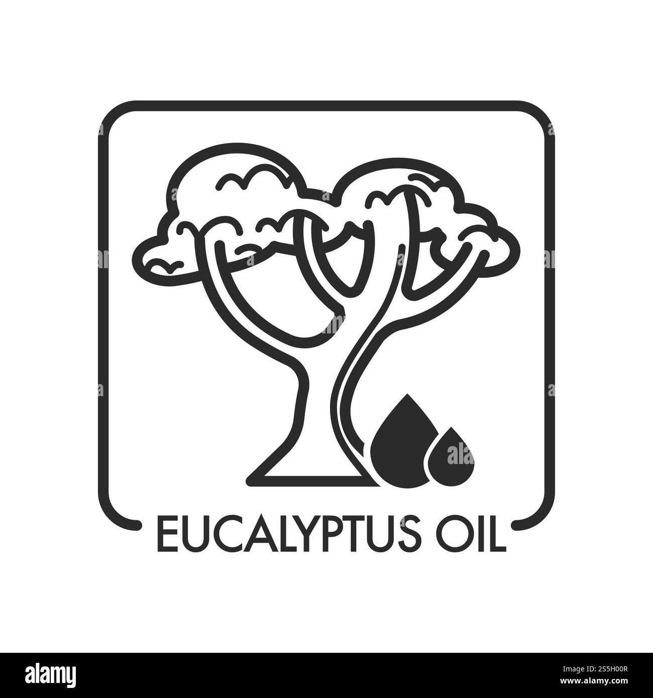 Gocce di olio di eucalipto e albero con rami e vettore fogliame icona isolata del liquido utilizzato nell'industria della bellezza e nel trattamento di massaggio aromaterapico componente a base di erbe per abbellimento della pelle e del corpo.. Gocce di olio di eucalipto e albero con rami e fogliame Illustrazione Vettoriale