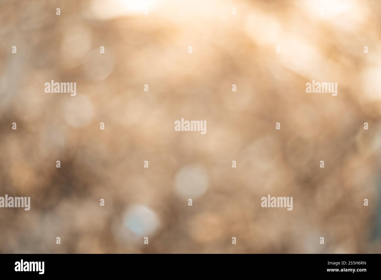 Sfocatura astratta dello sfondo con luci sfocate. Foto Stock