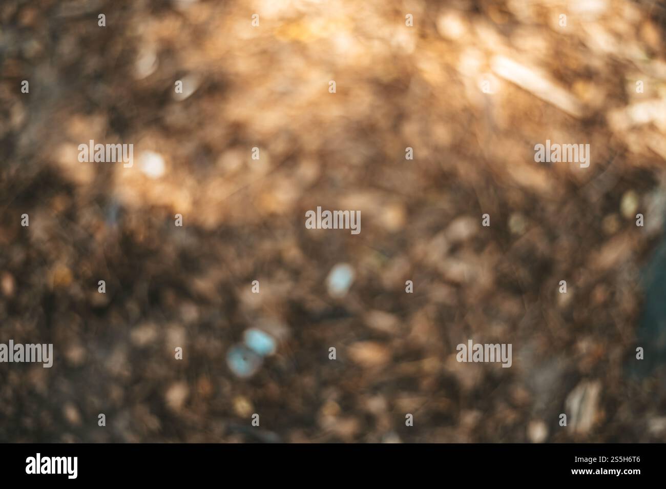 Sfocatura astratta dello sfondo con luci sfocate. Foto Stock