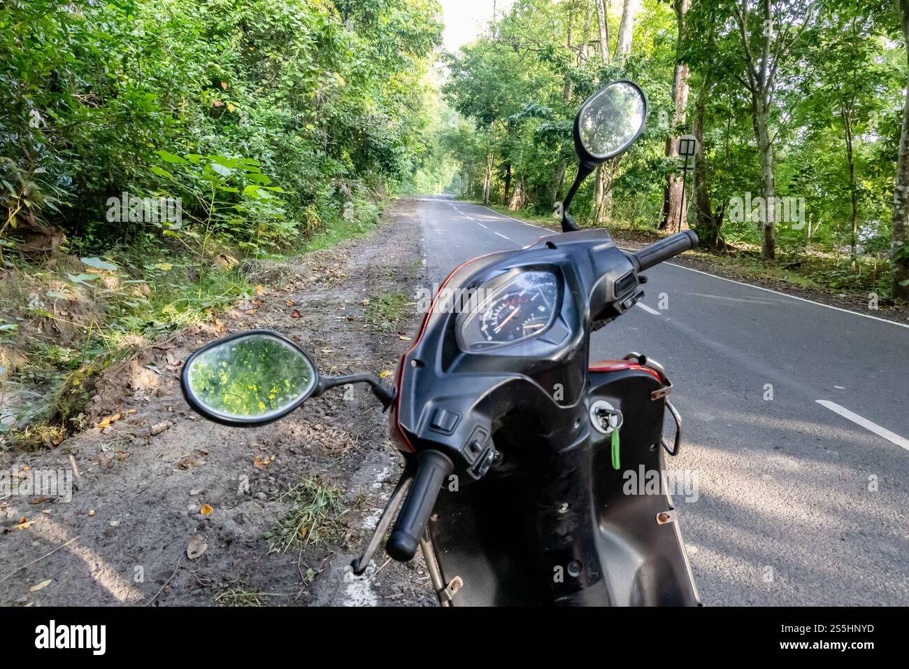 fai un viaggio su due ruote su una strada deserta nella foresta con lussureggianti foreste verdi al mattino Foto Stock