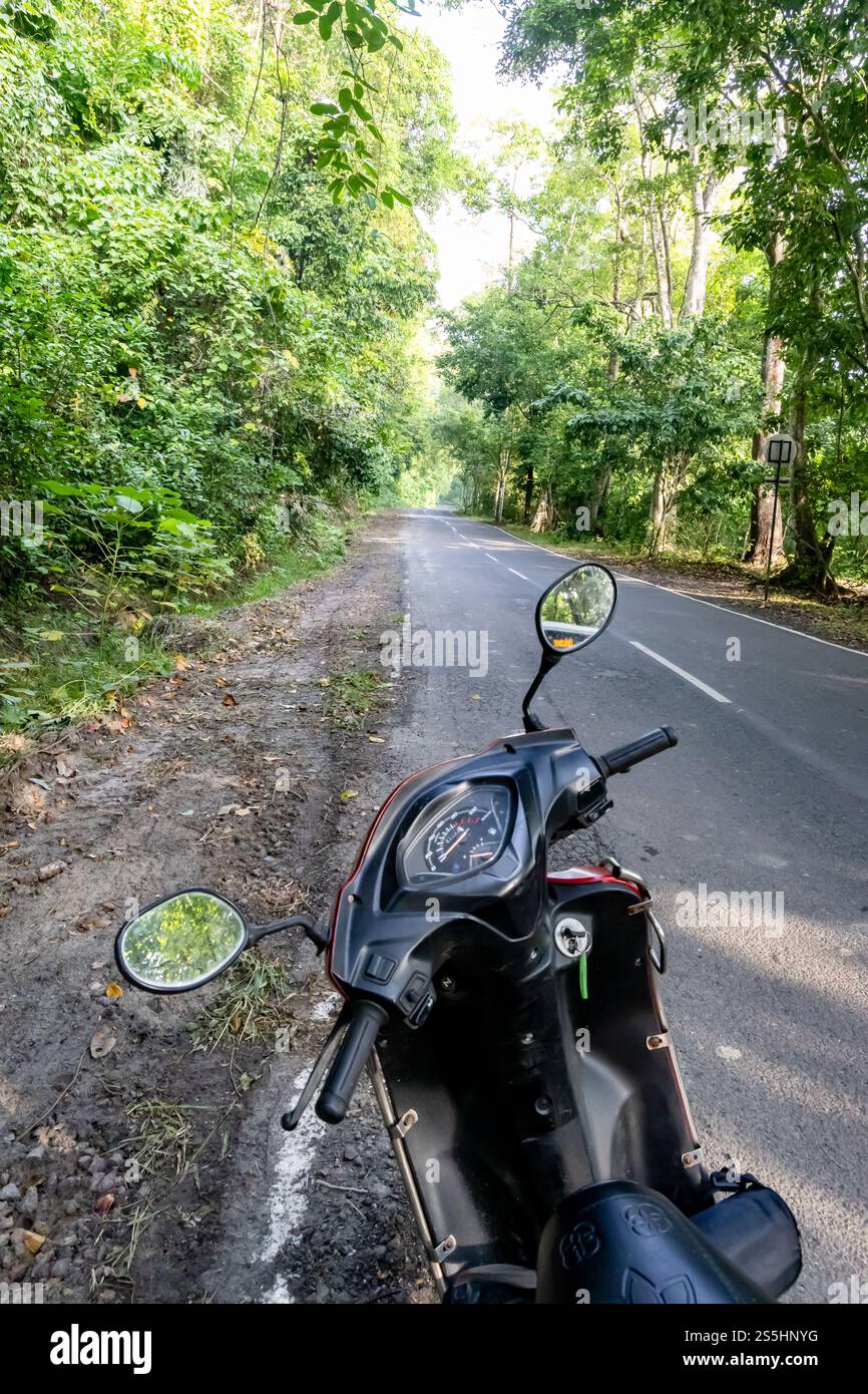 fai un viaggio su due ruote su una strada deserta nella foresta con lussureggianti foreste verdi al mattino Foto Stock