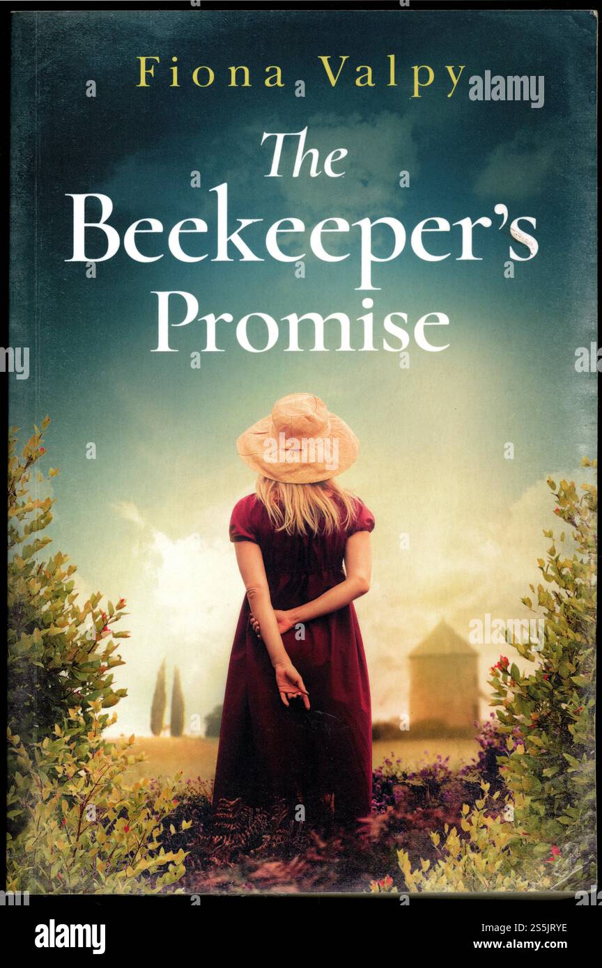 Libro cartaceo usato copertina The Dressmakers Gift, di Fiona Valpy, pubblicato nel 2018 Foto Stock