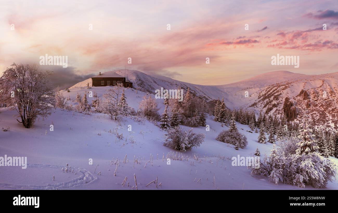 Mattina inverno predawn paesaggio di montagna in tenui colori rosa Carpazi, Ucraina). Foto Stock