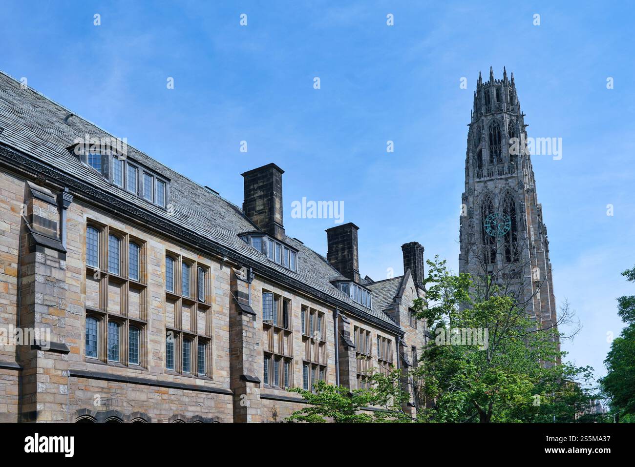 Edificio in stile gotico della Yale University, con Harkness Tower sullo sfondo Foto Stock