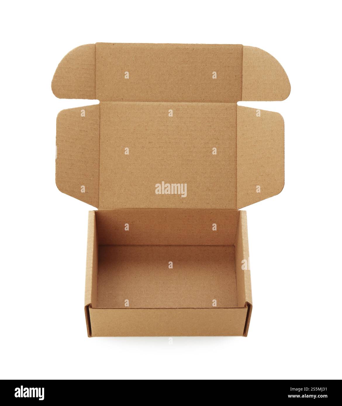 Una scatola di cartone aperta isolata su bianco. Mockup per il design Foto Stock