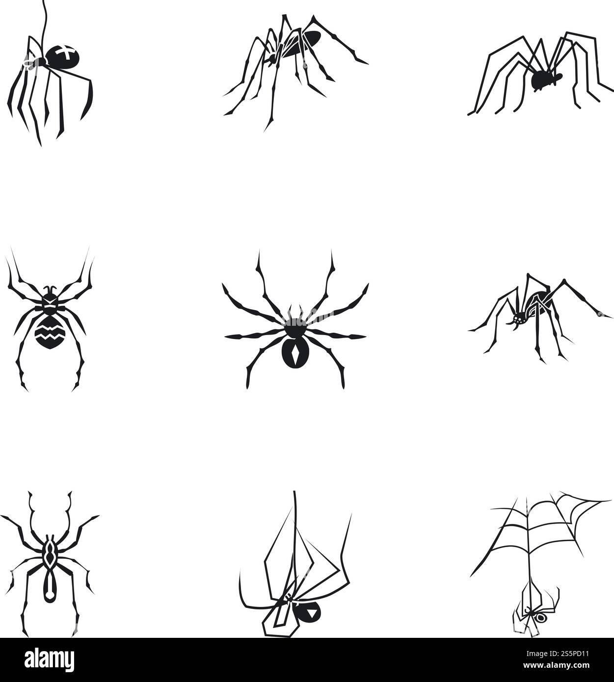 Set di icone Spider bug. Semplice set di 9 icone vettoriali di bug ragno per il web design isolate su sfondo bianco. Set di icone Spider bug, stile semplice Illustrazione Vettoriale