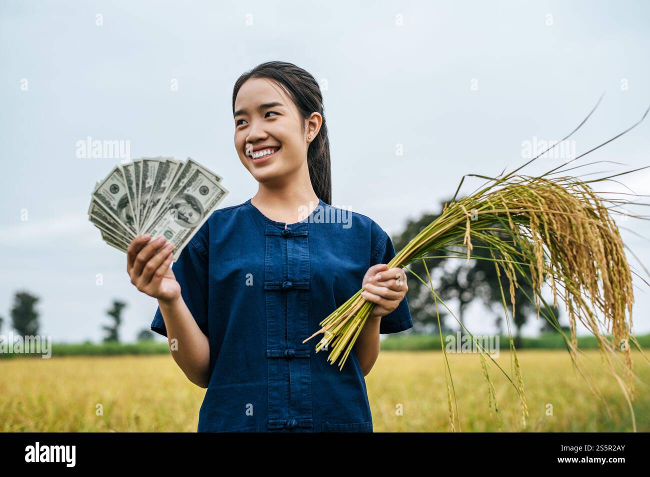 Ritratto di una giovane donna agricola asiatica che tiene in mano banconote e un gambi di riso maturo sullo sfondo del campo di riso, sorride con felice successo Foto Stock
