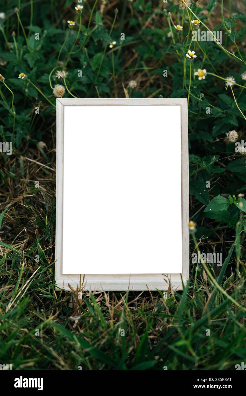 Una cornice bianca su un albero Foto Stock