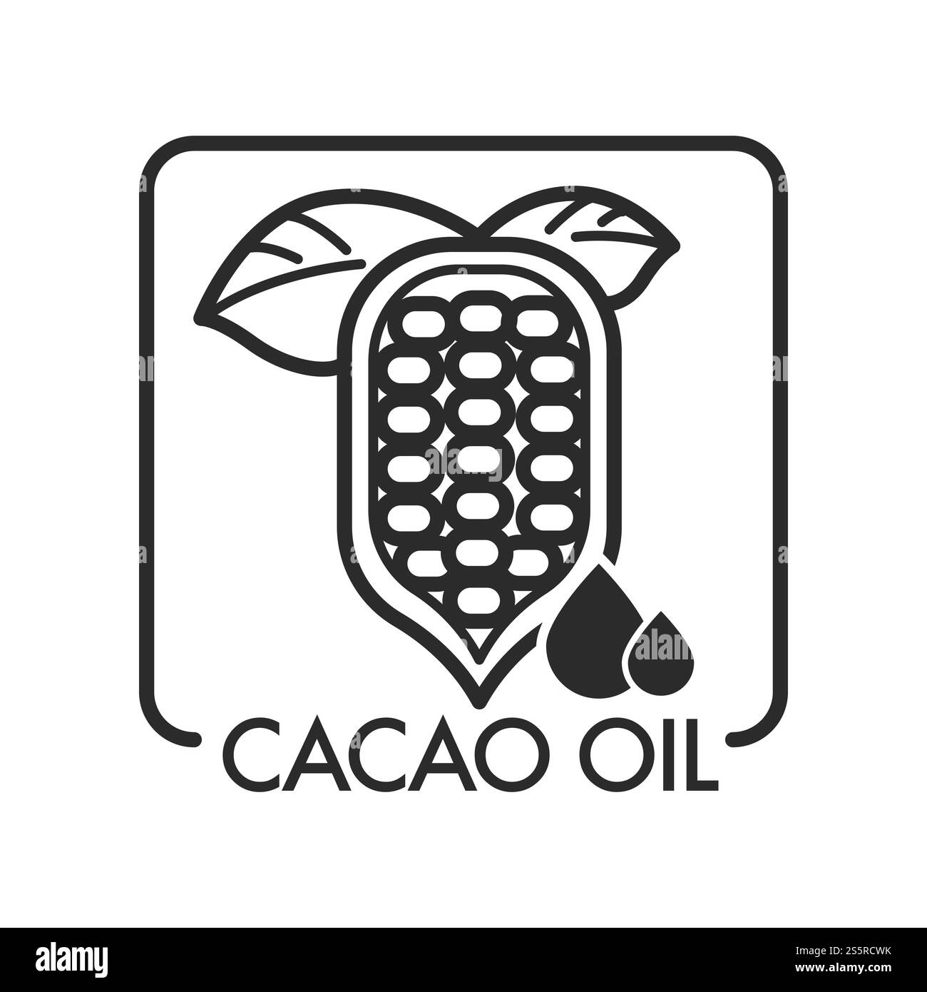 Pianta di olio di cacao e gocce di liquido oleoso per il trattamento della pelle e del corpo vettore isolato icona di flora e prodotto con profumo aromatico utilizzato nei massaggi e cosmetologia ingrediente idratante nei fagioli.. Impianto di olio di cacao e gocce di liquido oleoso Illustrazione Vettoriale