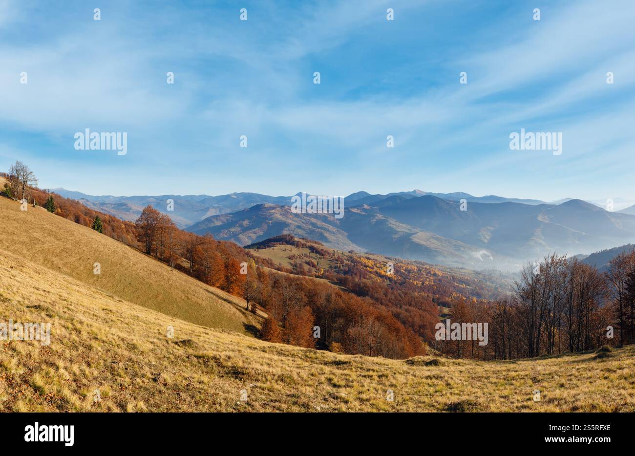 Autunno dei Carpazi paesaggio di montagna con alberi colorati sul pendio e la luce haze. Foto Stock